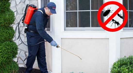 Göztepe Dezenfeksiyon böcek ilaçlama ve haşere kontrolü — ilaclama-tr.com
